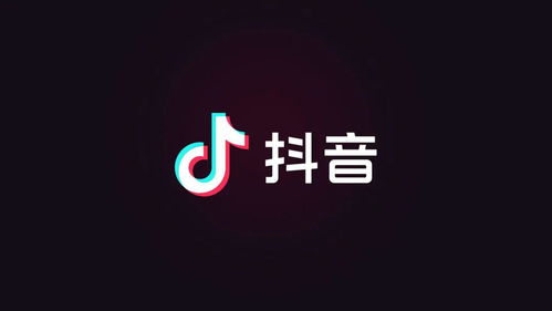 被忽视的抖音红利——搜索